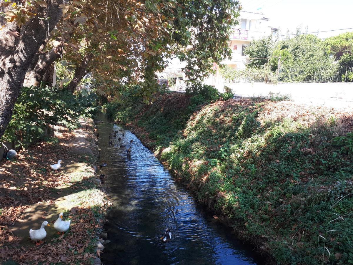 Samos Apart Pension Guzelcamlı Buitenkant foto