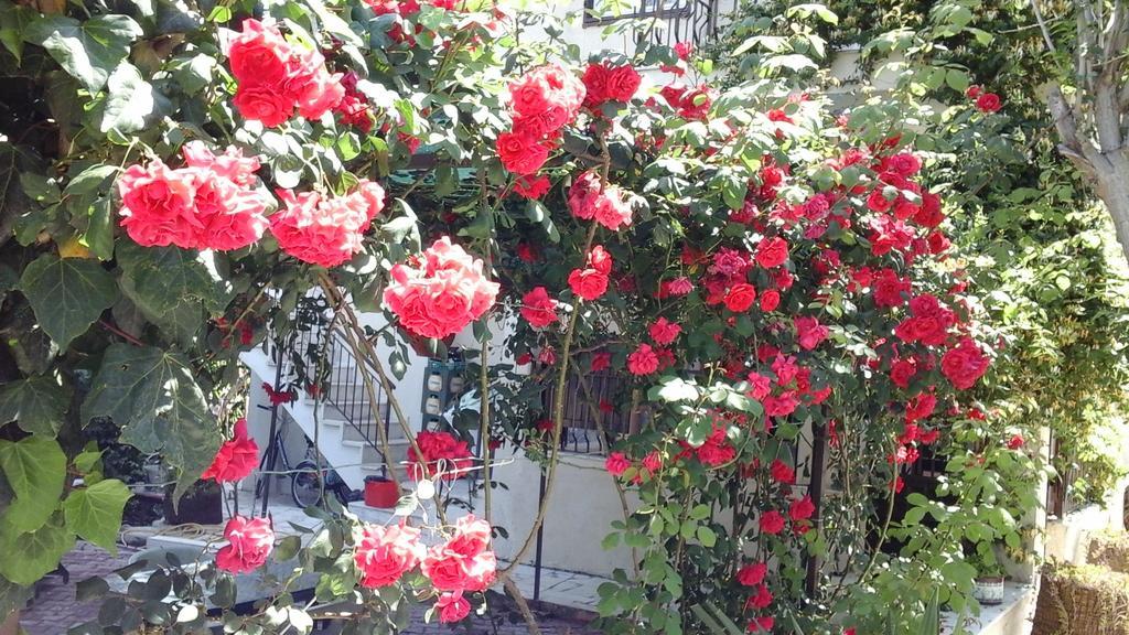 Samos Apart Pension Guzelcamlı Buitenkant foto