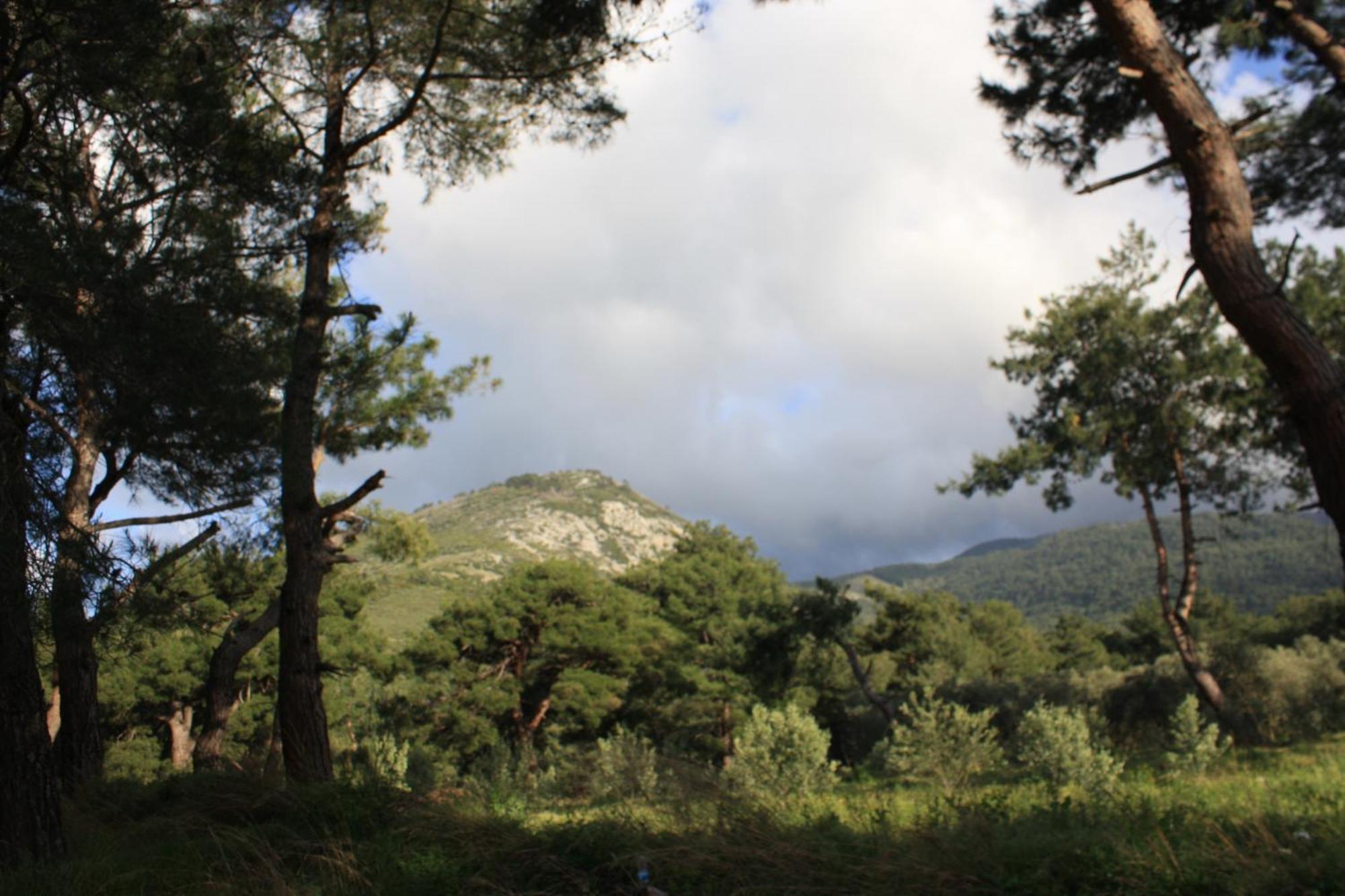Samos Apart Pension Guzelcamlı Buitenkant foto