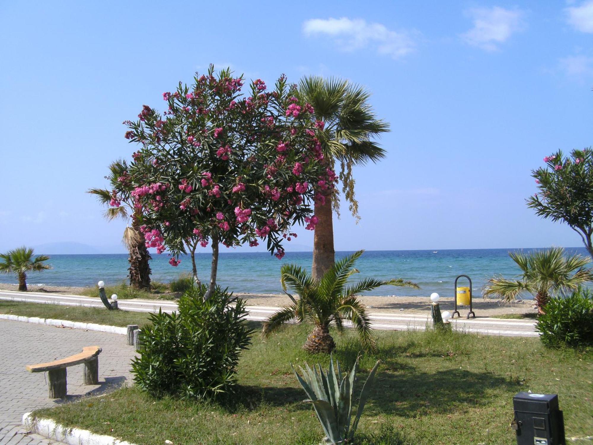 Samos Apart Pension Guzelcamlı Buitenkant foto