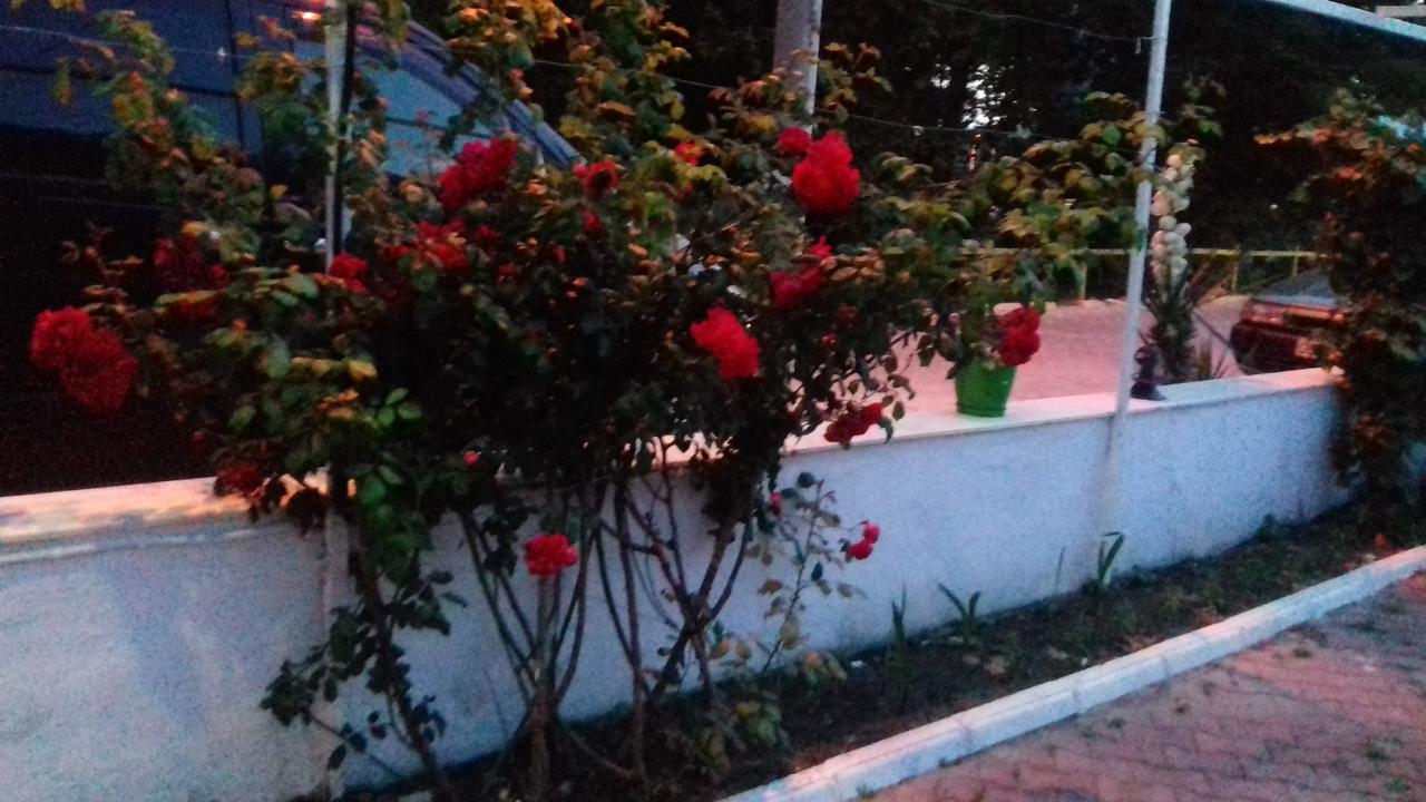 Samos Apart Pension Guzelcamlı Buitenkant foto