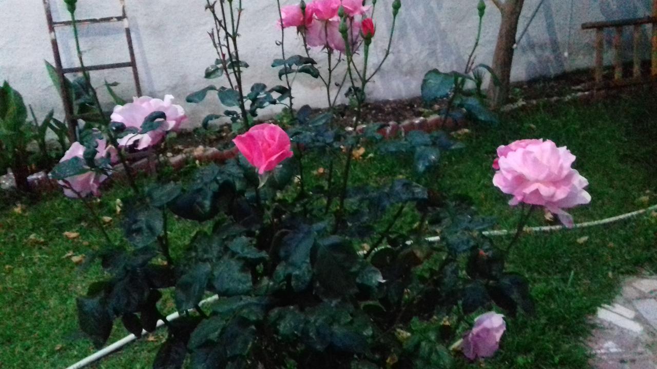 Samos Apart Pension Guzelcamlı Buitenkant foto