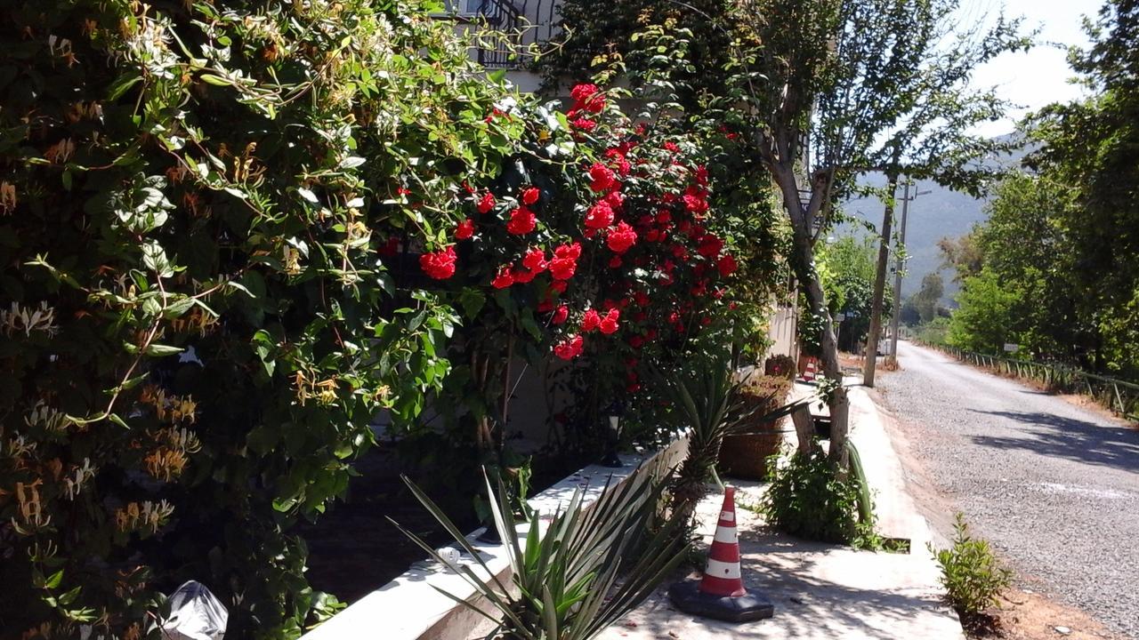 Samos Apart Pension Guzelcamlı Buitenkant foto